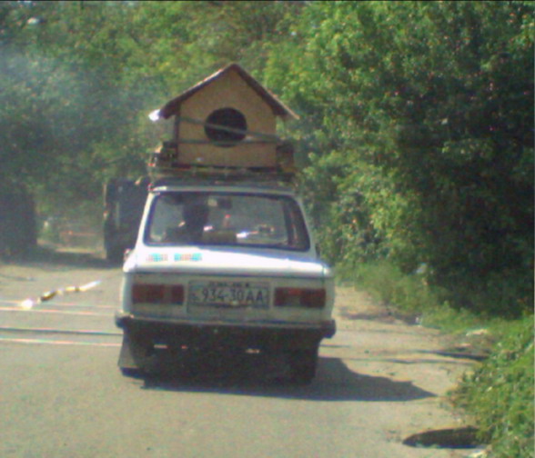 ������������� �����������